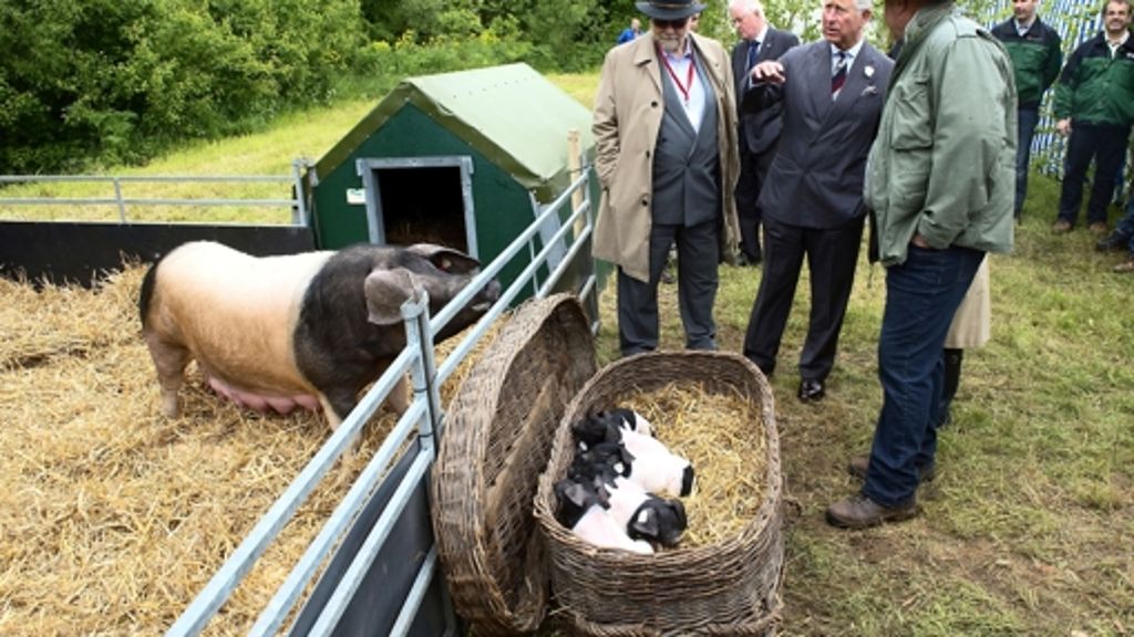 Prinz Charles zu Besuch im Land: Der Bio-Prinz am Schweinegatter