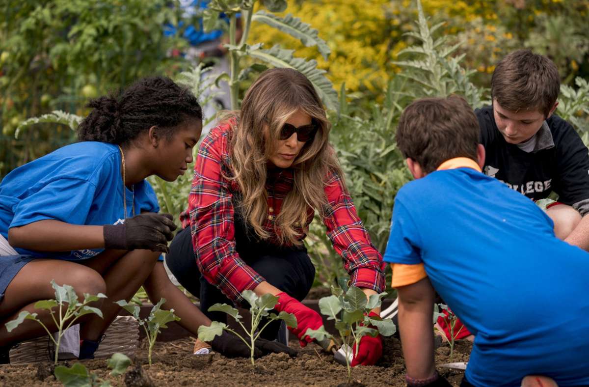 Mit den Projekten ihrer Vorgängerin kann Melania wenig anfangen. Eher lustlos buddelt die First Lady in dem von Michelle Obama angelegten Gemüsegarten des Weißen Hauses.
