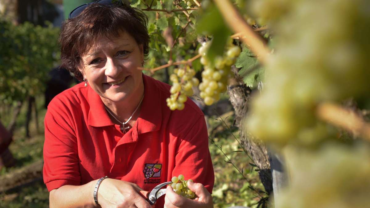 Das nächste Weindorf kommt bestimmt: Wie wär’s mit ukrainischem Wein?