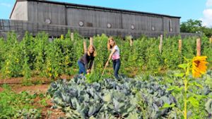 Schulbauernhof Zukunftsfelder Korntal-Münchingen: „Rent an Acker“: Das eigene Gemüse anbauen und ernten