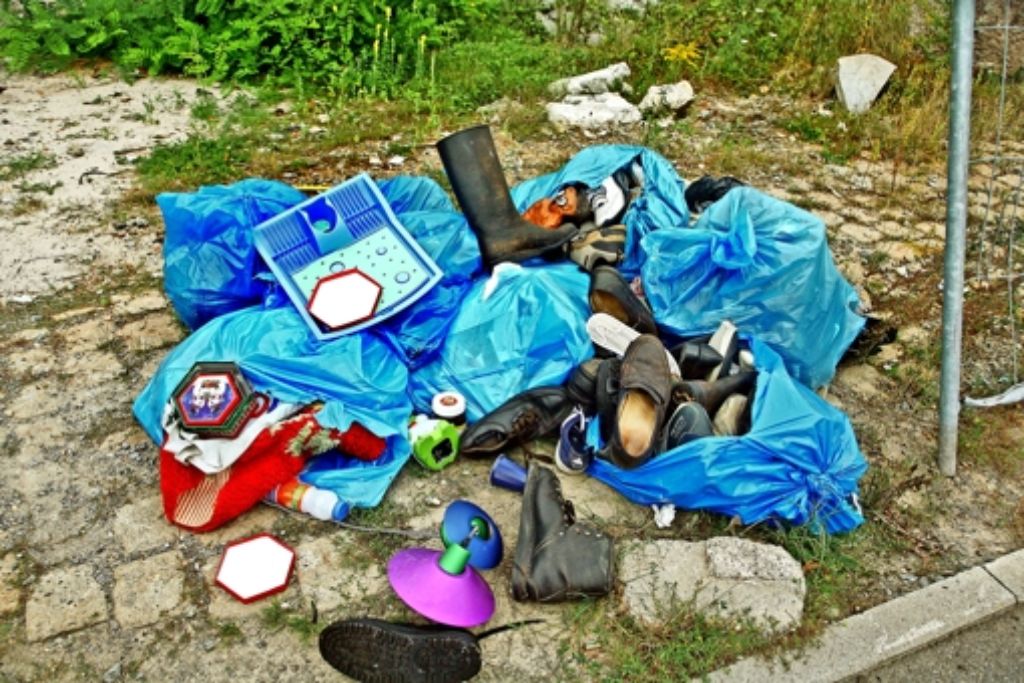 Die Disziplin nimmt ab und die Müllberge schrumpfen. Wilde Ablagerungen sind in Städten zunehmend ein Problem. Foto: Horst Rudel/Archiv