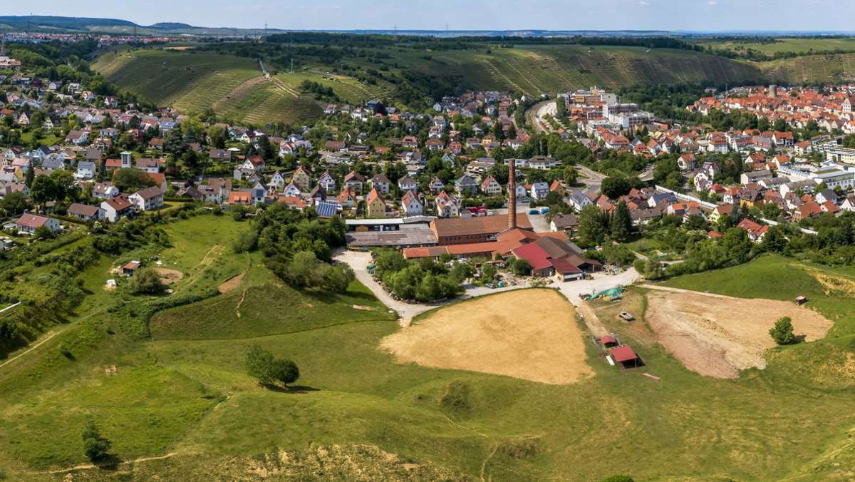 Lehmgrube in Besigheim: Naturschützer machen Druck