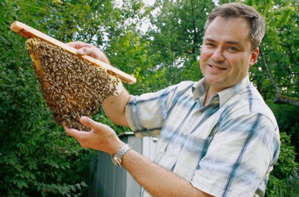 Ikern als Hobby Der Weg zu eigenen Bienenvolk PDF Epub-Ebook