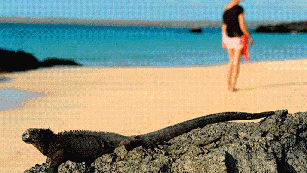Galápagos: Das Labor der Evolution