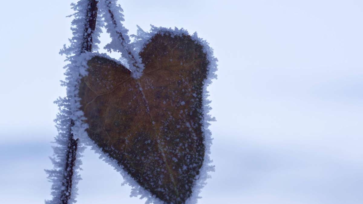 Serie Wetterbericht (8): Liebe und Frost