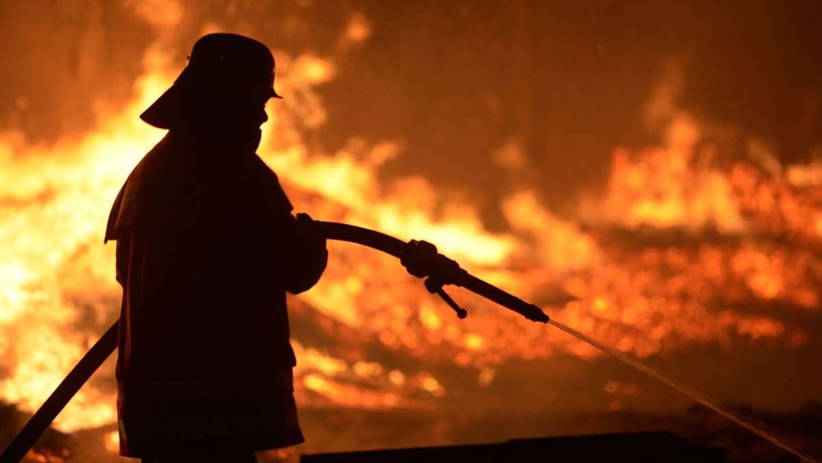 Brandstiftung in Leinfelden-Echterdingen: Unbekannter steckt Weihnachtsbäume in Brand