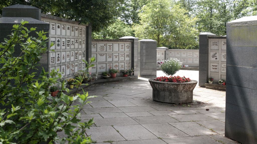 Neue Bestattungsformen in Hemmingen: Letzte Ruhe im Baumgrab