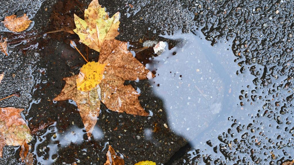 Wetter in Baden-Württemberg: Adventswochenende wird regnerische und stürmisch