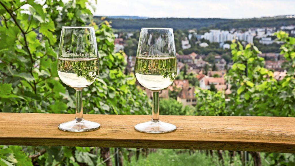 Weinwanderung in Stuttgart-Feuerbach: Weinerlebnis Lemberg: Von  Kelten und vom Keltern