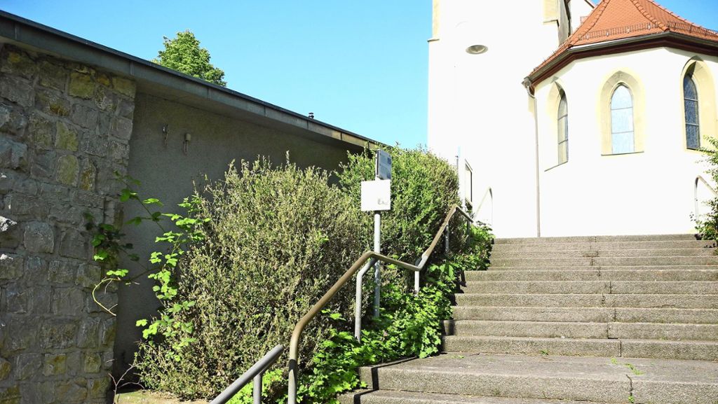 Rutesheim: Tagpfauenauge und Eidechse fühlen sich wohl