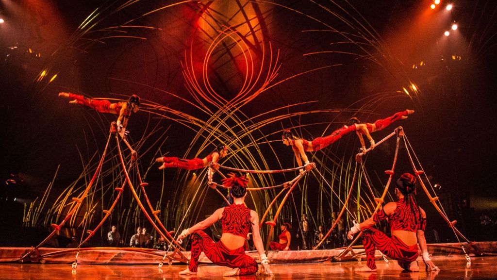 Cirque du Soleil in Hamburg: Artist stürzt bei Vorstellung ab