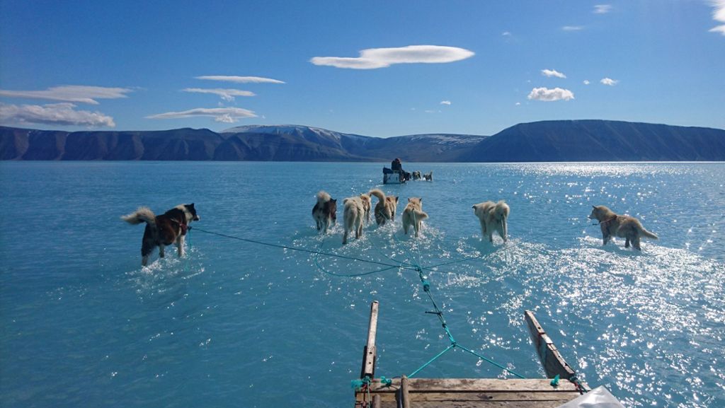 Klimawandel: Grönlands Eis steht unter Wasser
