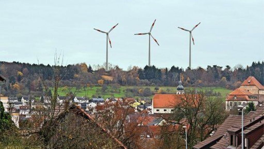 Zeitung in der Schule: Gymnasium Rutesheim: Gegenwind für Windkraft