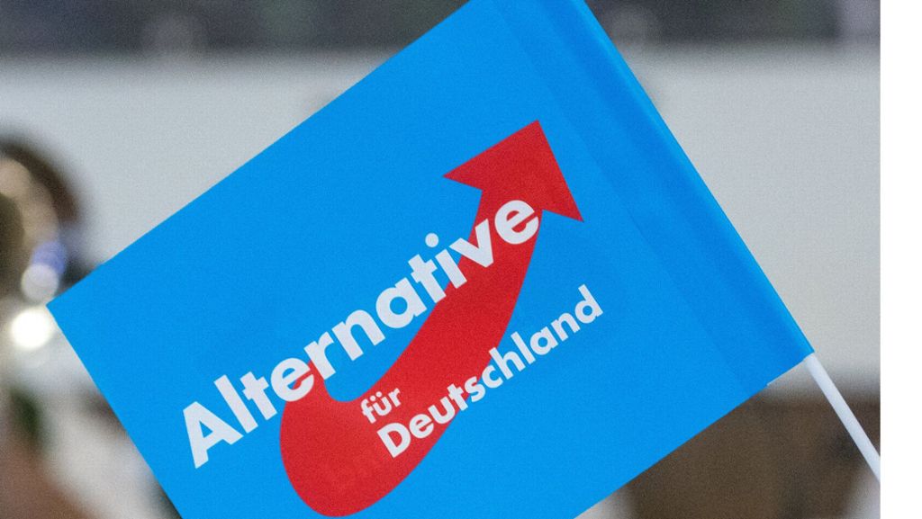 Wirbel vor der Kommunalwahl: Ulmer AfD kürt Vorbestraften zur Nummer eins