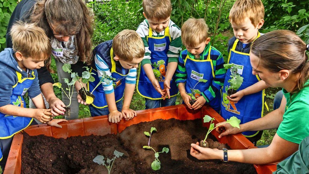 Kinderbetreuung im Kreis Ludwigsburg: Städte kämpfen um Kindergartenplätze