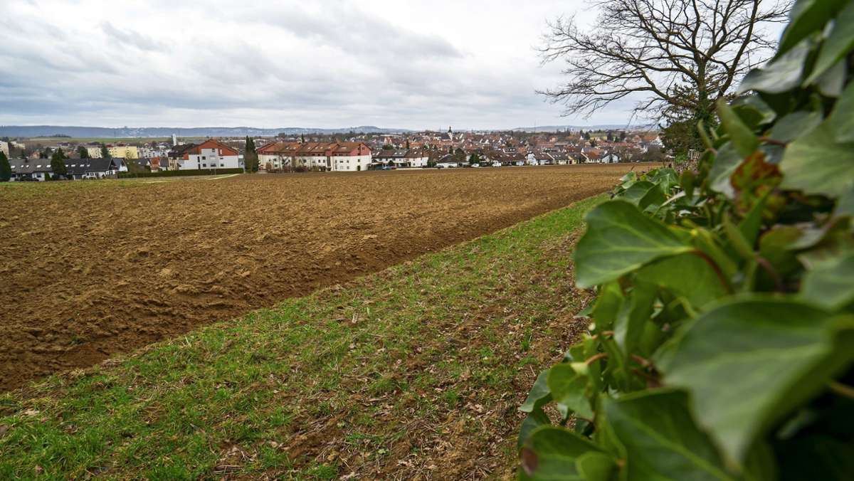 Wohnen in Korntal-Münchingen: Baugebiet mit Beigeschmack