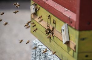 18 000 Unterschriften für Bienen-Volksbegehren