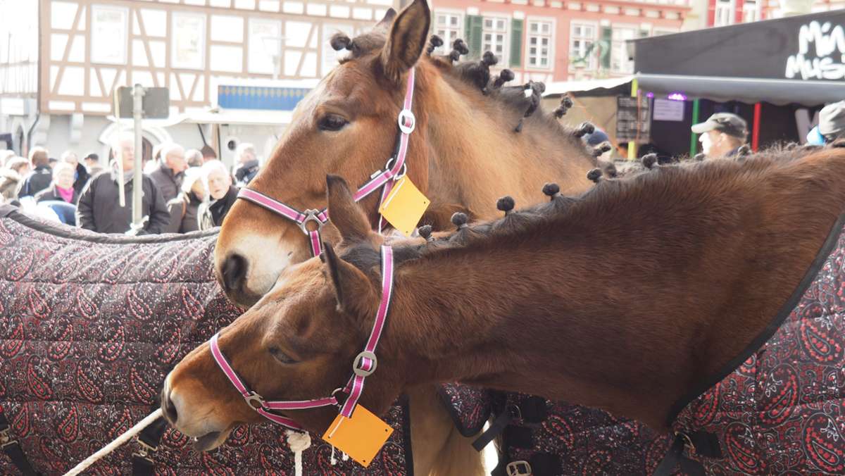 Leonberger Volksfest: Wie viel Fasnet steckt im Pferdemarkt?