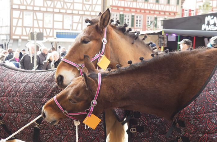 Leonberger Volksfest: Wie viel Fasnet steckt im Pferdemarkt?