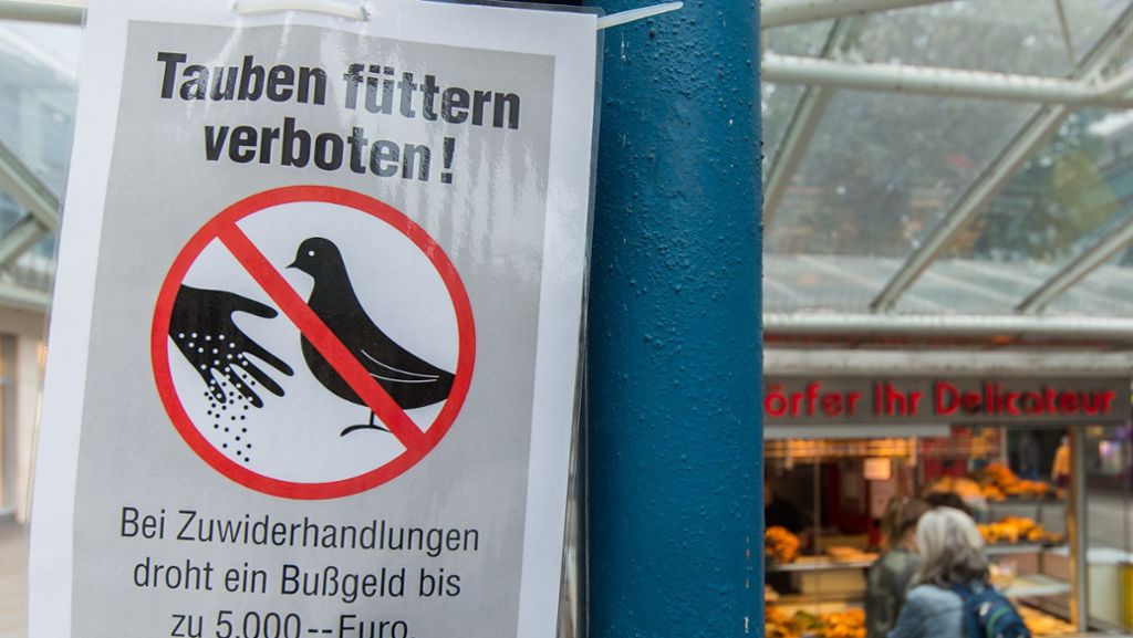 Federvieh in Bad Cannstatt: Füttern verboten!