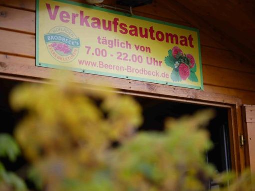 Hübsche Cafés und Jamaica-Food: Das geht in Möhringen Beeren Brodbeck