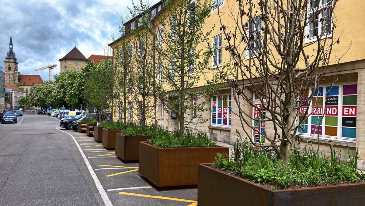 Stuttgarts Begrünung: Der grüne Daumen braucht das Amt