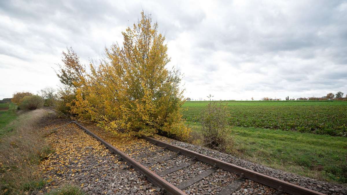 Baden-Württemberg: Studie zu stillgelegten Bahnstrecken: Hoffnung für über 30 Regionen