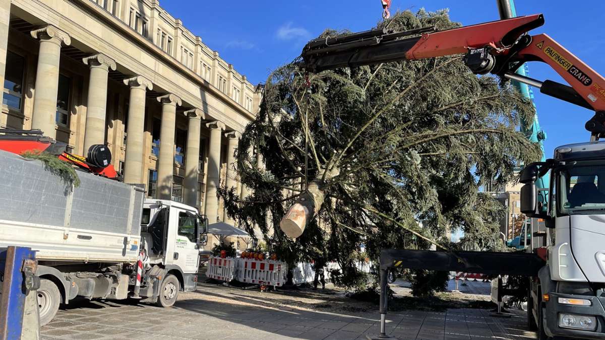 Weihnachten in Stuttgart: Hier wird der Weihnachtsbaum am Schlossplatz aufgebaut