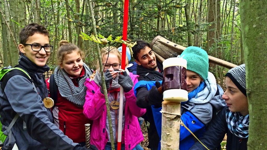 Projekt mit Schülern aus Sillenbuch: Basisdemokratie im Wald