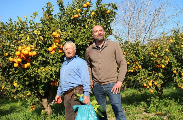 Zitrusfrüchte aus Italien: „Bionda“ – eine Orange macht ihren Weg