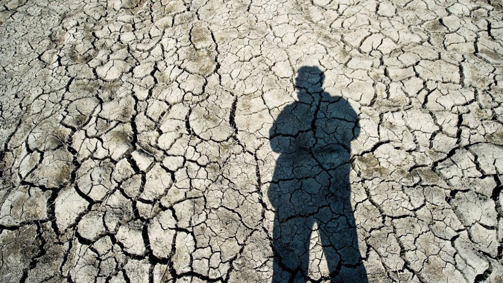 Landwirte leiden unter Trockenheit: Keine Versicherung  gegen Dürreschäden