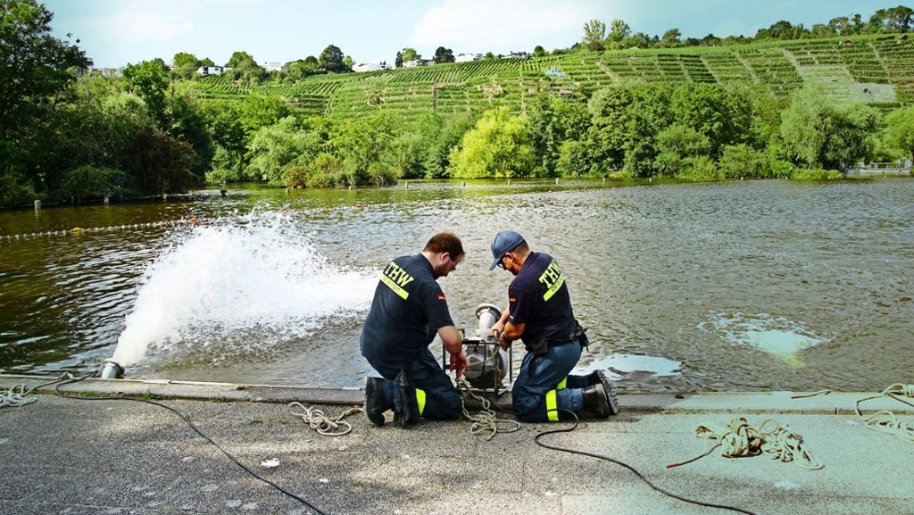 Sauerstoffmangel im Stuttgarter See: Tote Fische im Max-Eyth-See