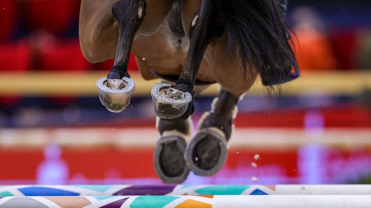 Pferdesport: Weltcup in Riad: Sportwashing mit Pferden oder Tradition?