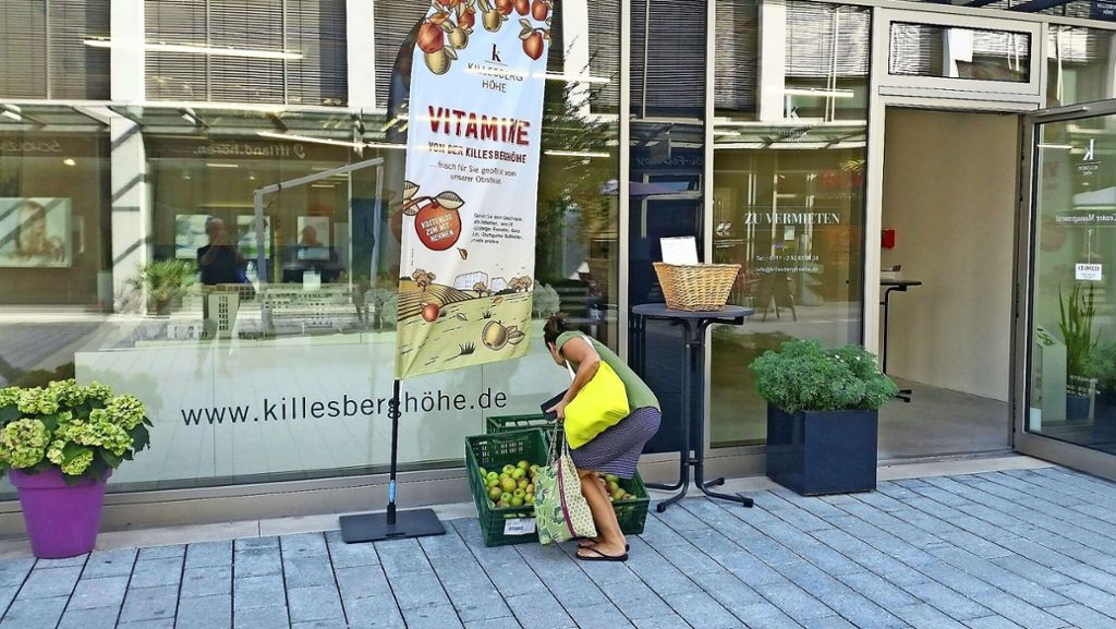 Ernte in Stuttgart-Nord: Gute Luise zu verschenken