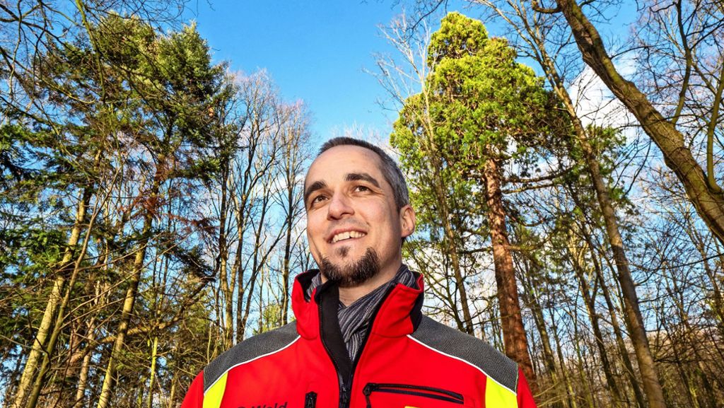 Michael Nill ist neuer Chef des Fachbereichs Wald: „Wo soll man sonst den Kopf frei kriegen?“