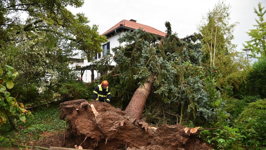 Sturm zieht über Baden-Württemberg: Elf Verletzte und große Schäden