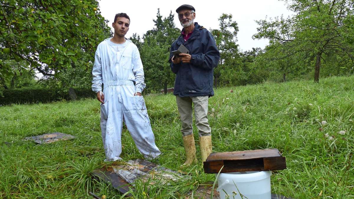  In Fellbach und Umgebung verschwinden immer wieder Behausungen von Bienen. Nun hat es einen 19-Jährigen aus Korb getroffen. 