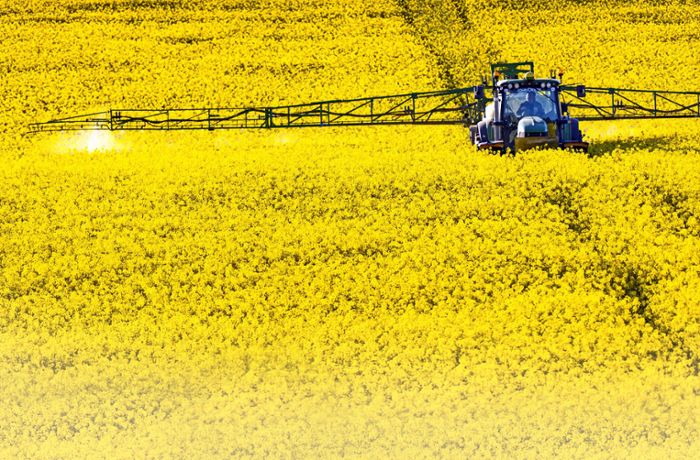Pestizide: Wie Bauern mit weniger Spritzmittel auskommen