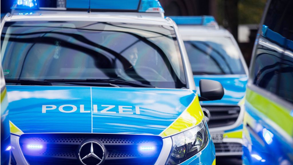Kreis Böblingen/Rhein-Neckar-Kreis: Polizei hebt Bande von Trickdieben aus