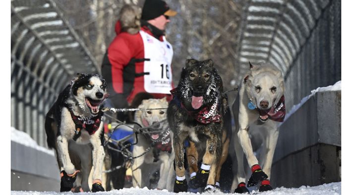 Warum  Iditarod das härteste Rennen der Welt ist