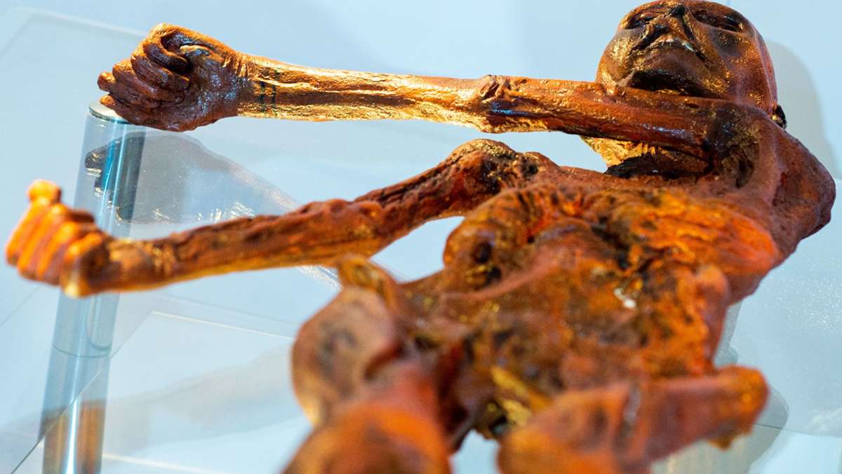Eis-Mumie Ötzi: Zu Ötzis Zeiten waren die Alpen noch vielfach eisfrei