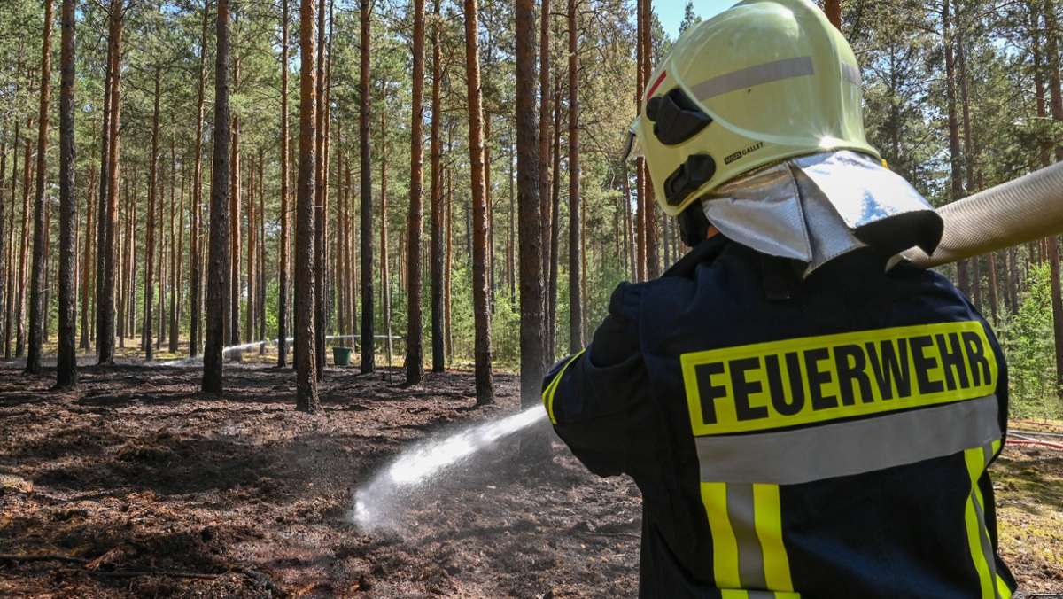  Die Hitzewelle in Baden-Württemberg sorgt für eine erhöhte Waldbrandgefahr. Forstminister Peter Hauk warnt zum Beispiel vor unbeaufsichtigten Grillfeuern. 