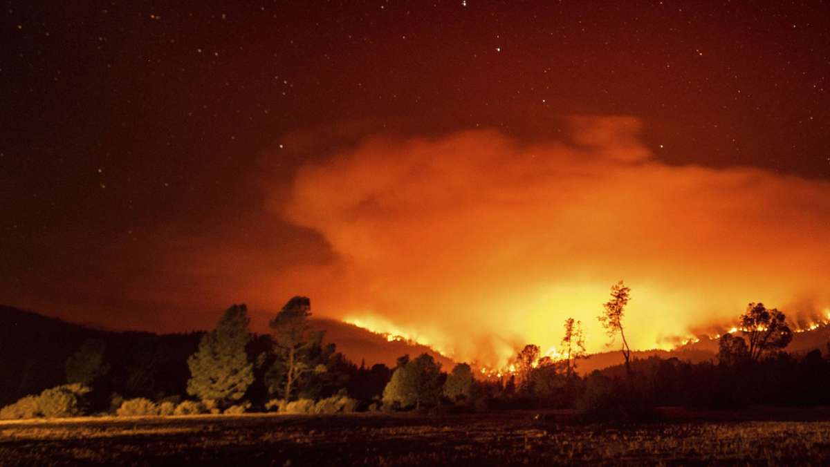 Die US-Westküste steht in Flammen: Was uns die Brände lehren