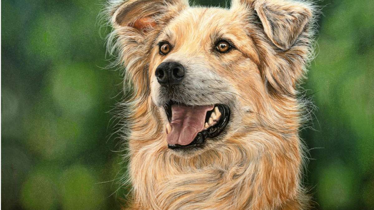 Malerin aus Remshalden: Diese Kunstwerke lassen Haustiere ewig leben