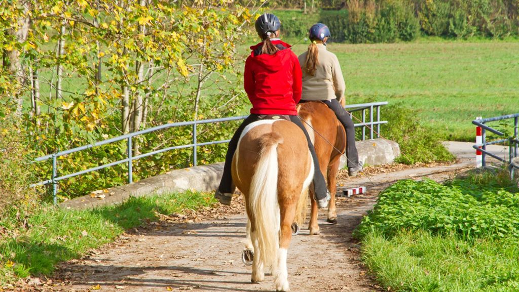 Reitunfall in Welzheim: Verängstigtes Pferd stürzt auf gestürzten Reiter