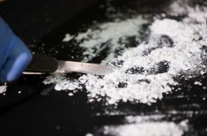 Kokain im Millionenwert landet im Biomüll