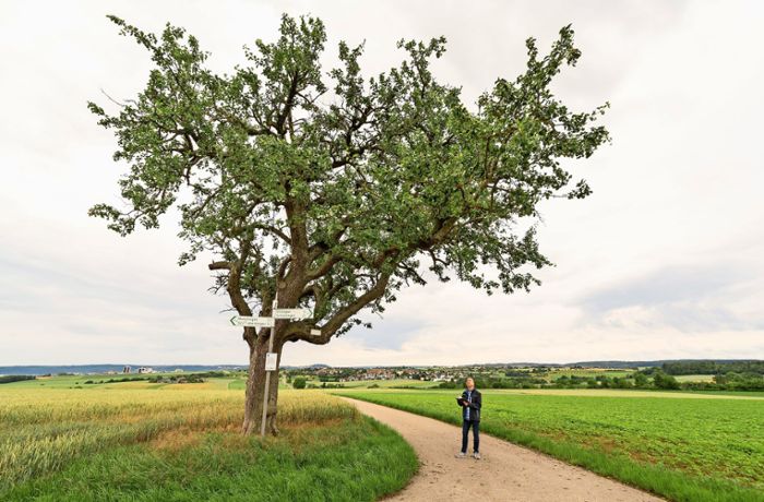Historische Obstsorten im Strohgäu: Mal unterm Birn-, mal unterm Apfelbaum