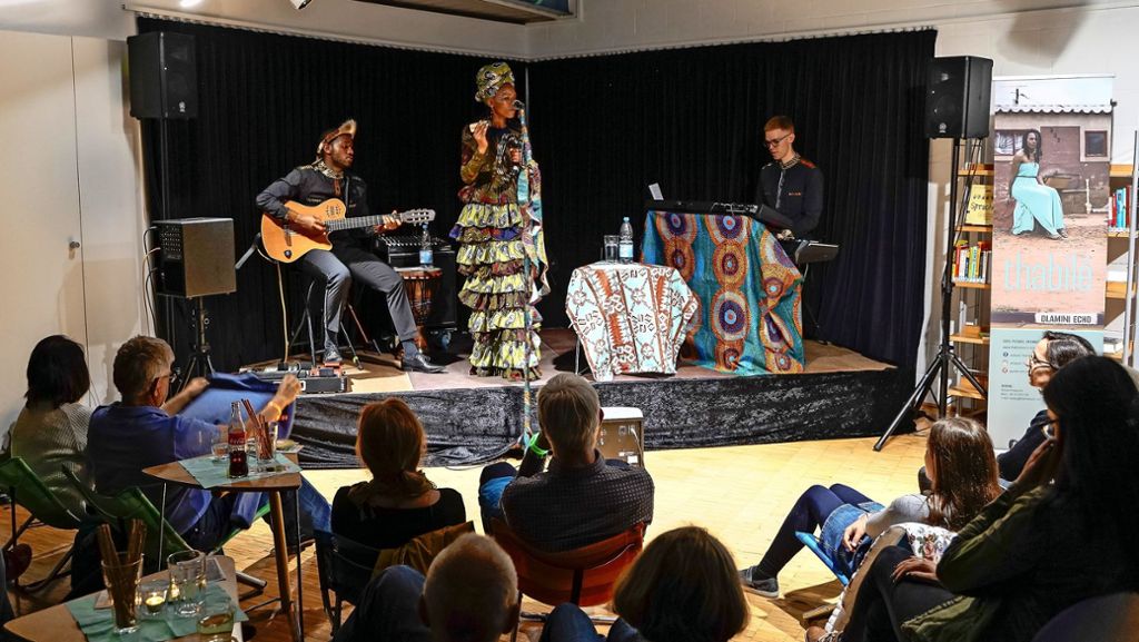 Musiknacht „Ditzingen unplugged“: Eine Stadt als große Bühne
