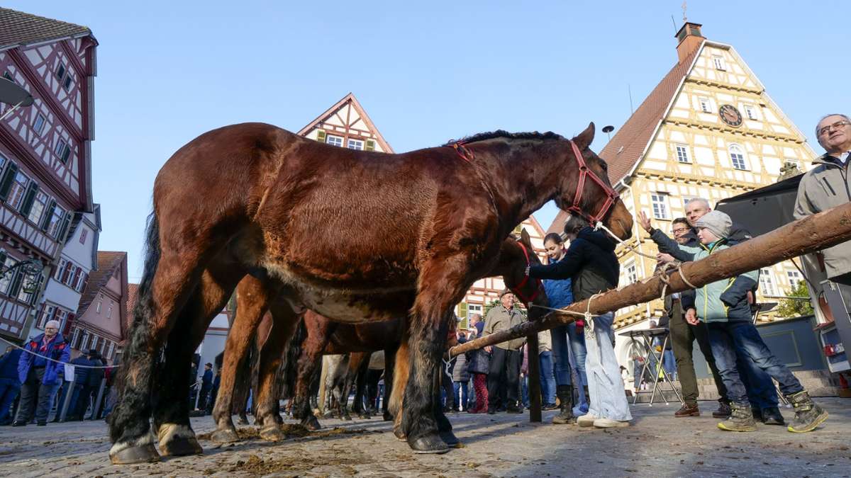 Pferdemarkt in Leonberg: Die Zahl der Hufe ist gesunken