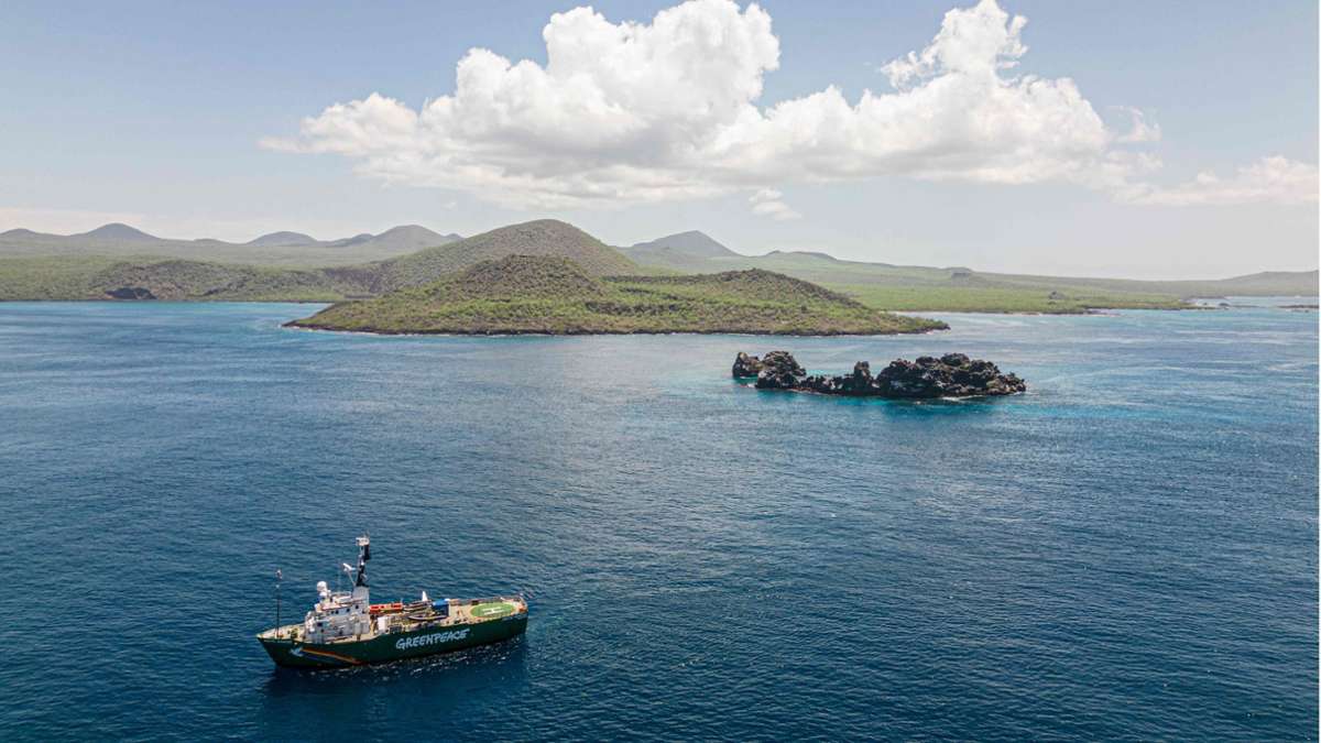 Schutz der Hochsee: Greenpeace fordert Hochsee-Schutzgebiet vor Galápagos-Inseln